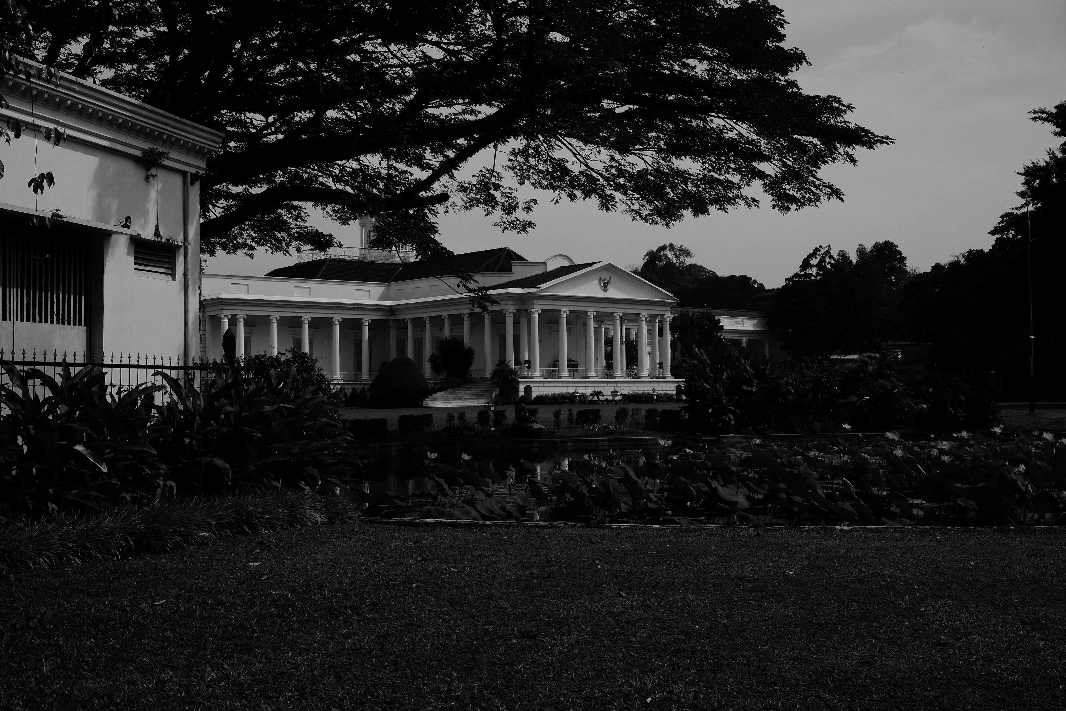 The palace